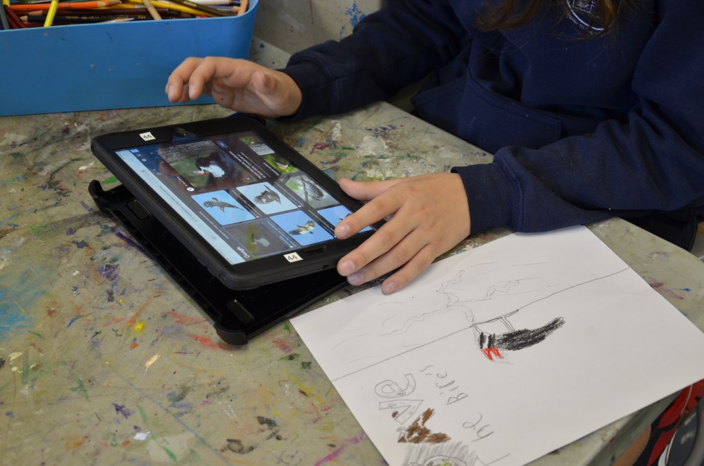 Bird workshop at&nbsp;Saint-Gabriel