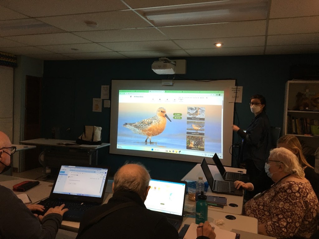 Bird workshop at&nbsp;Reclaim