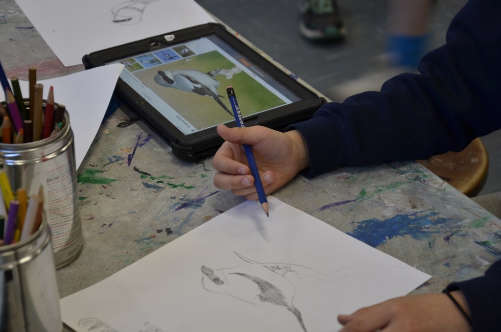 Birds at risk augmented reality project – spectres of a shared&nbsp;future