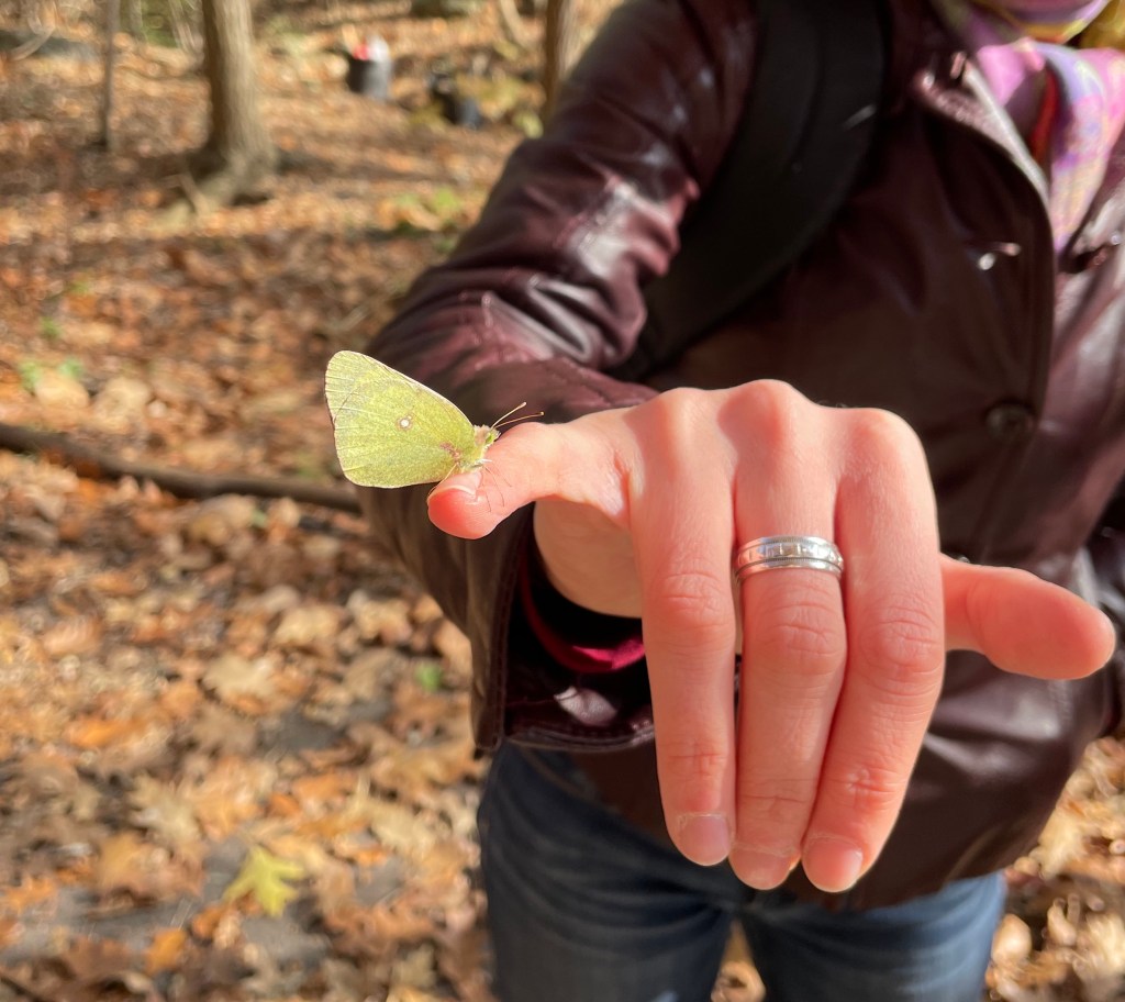 Drawing forest creatures in the&nbsp;forest